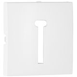 COVER PLATE F/T8 FRENCH TELEP SOCKET WHITE