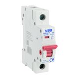 Switch disconnector DL ​​1P 63A FR/63A/1P