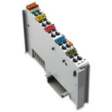 2 pulse width outputs 24 VDC 0.1 A light gray