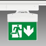 SAFETY-FLAG S.A.3H 6610 CLD CEM-L GREY