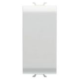 BLANKING MODULE - 1 MODULE - SATIN WHITE - CHORUSMART