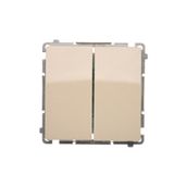Two gang switch, (module), 10AX, quick connection, beige