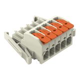 1-conductor female connector lever Push-in CAGE CLAMP®, light gray