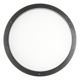 BLIZ ROUND 40 LED 39W 840 ANTHRACITE