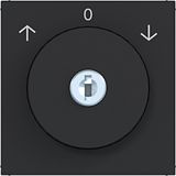 Central plate blind switch key ref. 0-position A.x/C.x matte black