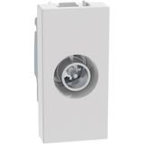 Light Now - socket TV star 1m white