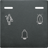 Bell button with LED indicators, anthracite, System M