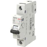 Circuit breaker 1P C Kar. 32A, 10kA