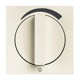Central disc USB-C power adapter insert 65W