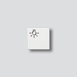 TLM 61x-01, BTLM 650-... WH Light button with light symbol
