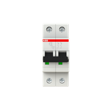 S202-B32 Miniature Circuit Breaker - 2P - B - 32 A