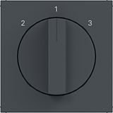 Central plate 3-position switch, A.x/C.x, anthracite