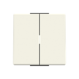 Rocker 2 gang switch/push