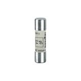 Cartridge Fuse 10×38 10A gG with Indicator