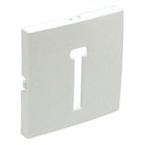 COVER PLATE F/T8 FRENCH TELEP SOCKET ICE