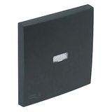 ROCK F/LIGHT SWITCH/PUSH-BUT W/LOCK SYMB GRAY