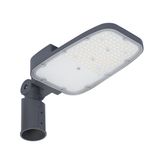 Streetlight LED SL Area 65W 730 SPD MDV RV20STGYFS1
