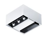 SUI SF6 1700-940 LDO WWL WWR BK WH - Surface-mounted luminaire