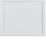 Centre plate for nurse call system, arsys, p. white glossy