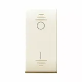 16AX 1WAY 2P SWITCH 250V LIGHT.1MOD