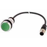 C22-D-G-K10-P3 Pushbutton, Flat, momentary, 1 N/O, Cable (black) with M12A plug, 4 pole, 0.5 m, green, Blank, Bezel: titanium