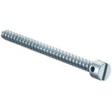 Sealing screws L=15 mm, with cross hole in screw head