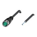 V15-G-BK50M-PUR-U connector