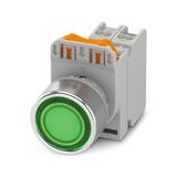 PHT22-FRD-GN/PT10/GN - Button