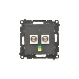 Double equipontential socket, module, black matt