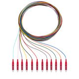 Pigtails, 12xLC, OM4, 2m 