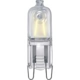 High voltage halogen lamp Philips MV Click 29W G9 230V CL 1CT