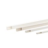 MKS 1616 KB rws Cable routing trunking MKS 16, trunking width 16, with adhesive tape