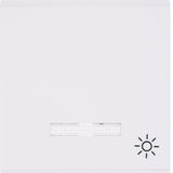 Ind key world lamp-white symbol