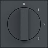 Central plate 3-position switch, neutral position, A.x/C.x anthracite