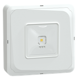 Emergency Luminaire Smartbeam DiCube Open Area 3h IP65