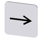 Labeling plate 22x22 mm, silver-colored label, icon: Arrow pointing to the right