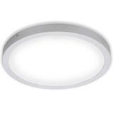 LED surface lightincl. 1 x LED-platine 24W 2.600lm 4.000K
