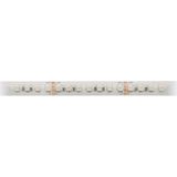 FS 80, RGB 17,0W/m, 24VDC, IP44, l=5m