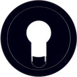 Centre plate for key switches/key push-buttons R.1/R.3, black glossy