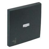 ROCK F/LIGHT SWITCH/PUSH-BUT W/MAID SYMB GRAY