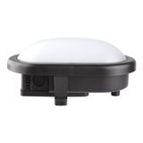 LED Bulkhead Basic 6W 4000K Black Oval