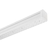 TRY A/M L 39W(42W) 4000K+NOOD