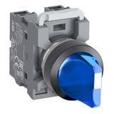 ESPD1R/LCD/208 module