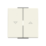 Rocker blind switch