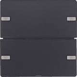 Push-button 2gang, + RGB LED, internal temp. sensor, KNX - Q.1/Q.3, an