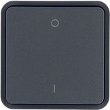 Rocker 1gang for W.1 push-button BCU, imprint top 0/bottom 1, grey