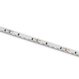 STRIP 24V DC WW 5m ROLL 14,4W/m IP20 VERTICAL LIGHT