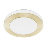 LED CARPI wall/ceiling light 900369