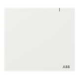 System Access Point ABB-free@home SAP 3.0 RJ45 2CKA006200A0871
