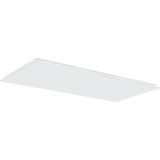 QUANTUM 1200X600 4500-5500LM 830 MP